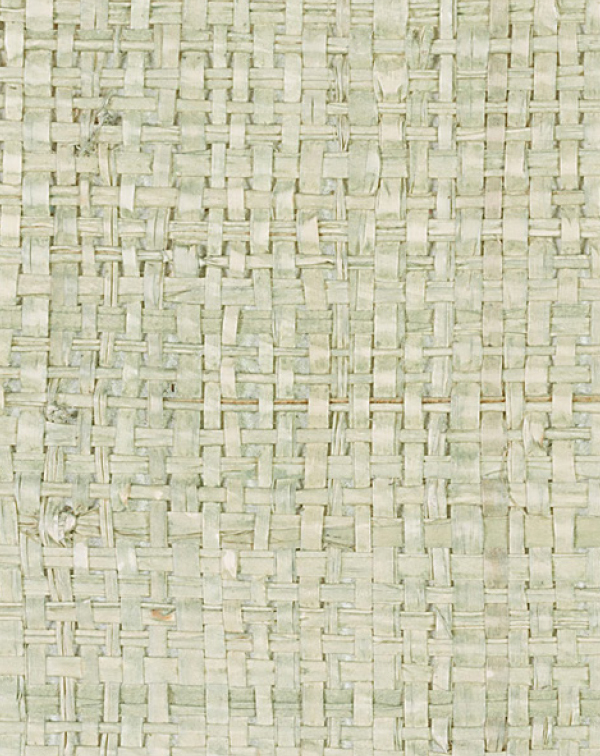 Aloe Raffia Face
